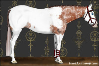 Horse Color:White Spotted Chocolate Bay Splash Snowcap