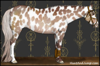 Horse Color:Chocolate Silver Brown Leopard Rabicano 