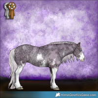 Horse Color:Watercolor Silver Buckskin Ice Pearl Sabino Rabicano