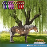 Horse Color:White Spotted Silver Smoky Black