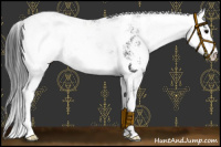 Horse Color:Black Sabino Blanket 