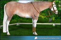 Horse Color:Silver Bay Roan Splash 