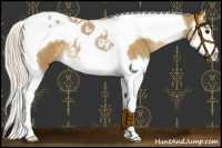 Horse Color:Silver Smoky Blue Roan Splash Tobiano 