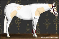 Horse Color:Silver Buckskin Roan Dun Splash Tobiano Rabicano