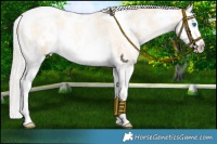 Horse Color:White Spotted Silver Smoky Blue Roan Pearl Splash 