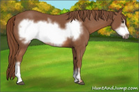 Horse Color:Chestnut Frame