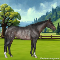 Horse Color:Brown Rabicano