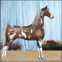 Horse Color:White Spotted Silver Bay Splash 