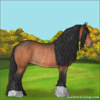 Horse Color:Brown Rabicano 
