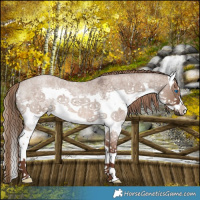 Horse Color:Liver Red Dun Roan Splash 