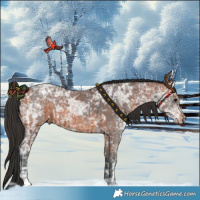 Horse Color:Black Ice  and Bay Ice 