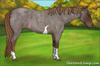 Horse Color:Liver Red Roan Tobiano 
