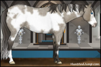 Horse Color:White Spotted Smoky Grullo Roan Frame 