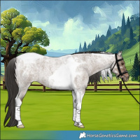 Horse Color:Liver Red Dun Roan Tobiano 
