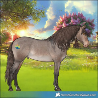 Horse Color:Bay Dun Mushroom Varnish 
