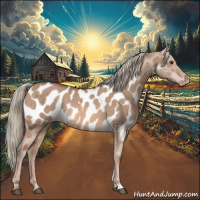 Horse Color:Red Dun Mushroom Near Leopard Brindle 