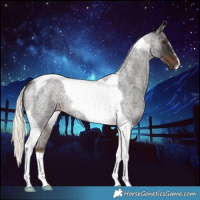 Horse Color:Liver Red Roan Mushroom Tobiano 