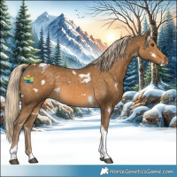 Horse Color:White Spotted Chocolate Palomino Tobiano 