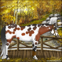 Horse Color:Brown Splash Tobiano Frame 