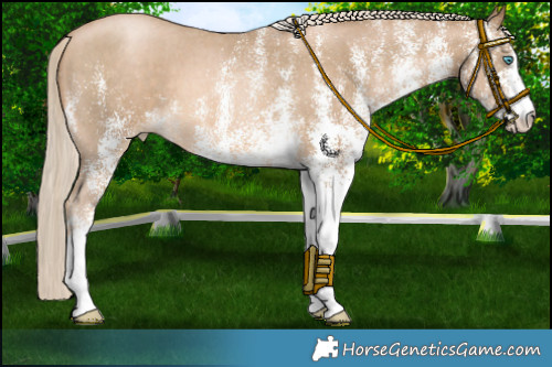 Horse Color:White Spotted Chocolate Palomino Pearl Mushroom 
