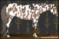 Horse Color:Liver Chestnut Mushroom Near Leopard 