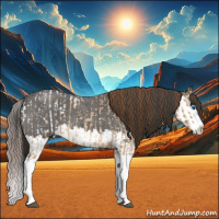 Horse Color:Red Dun Roan Splash Appaloosa  and Smoky Blue Roan Splash 