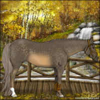 Horse Color:Chocolate Palomino Mushroom 