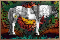 Horse Color:White Spotted Black Splash Tobiano Frame Appaloosa