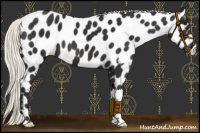 Horse Color:Liver Chestnut Mushroom Leopard 