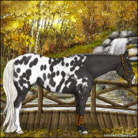 Horse Color:Liver Chestnut Mushroom Near Leopard 