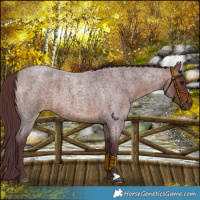 Horse Color:Chocolate Brown Roan 