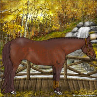 Horse Color:Chocolate Brown