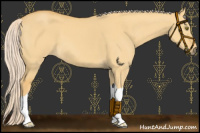 Horse Color:Palomino Dun 