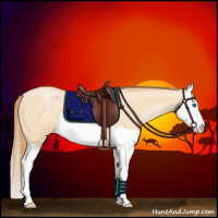 Horse Color:Buckskin Roan Pearl Splash 