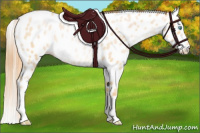 Horse Color:Buckskin Roan Snowdrop Leopard 