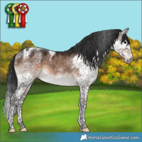 Horse Color:Brown Dun Splash Tobiano 