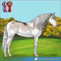 Horse Color:Liver Red Dun Mushroom Splash Tobiano 