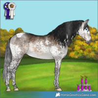 Horse Color:Gray Brown Dun Mushroom Splash Tobiano 