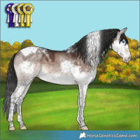 Horse Color:Brown Dun Mushroom Splash Tobiano 