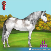 Horse Color:Gray Brown Dun Mushroom Splash Tobiano