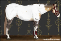 Horse Color:Chocolate Palomino Onyx Appaloosa