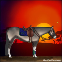 Horse Color:Blue Onyx 