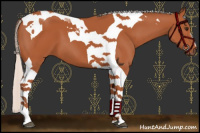 Horse Color:Silver Bay Tobiano