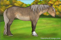 Horse Color:Silver Smoky Grullo Roan 