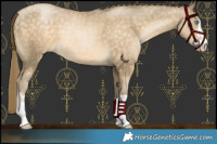 Horse Color:Buckskin Pearl