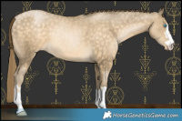 Horse Color:Buckskin Pearl 