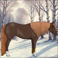Horse Color:Liver Chestnut 