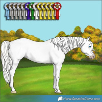 Horse Color:Gray Silver Smoky Creme Sabino Splash Tobiano Snowflake Varnish