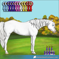 Horse Color:Gray Silver Smoky Creme Sabino Splash Appaloosa 
