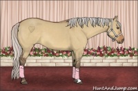 Horse Color:Silver Bay Dun